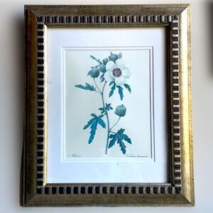 Anton Mauve’s Framed and Matted Print of the Hibiscus Trionum
